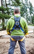 Image result for Fall Protection Harness