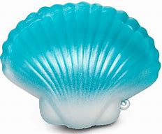 Image result for Squishy Shell