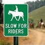 Image result for Horse Crossing the Finish Line