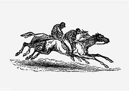 Image result for Race Horse Template
