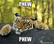 Image result for Phew Animals