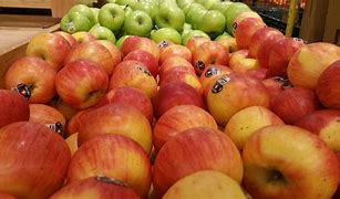 Image result for Macoun Apple