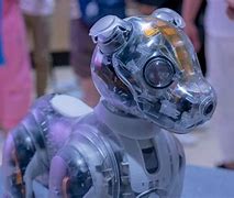 Image result for Aibo Colors