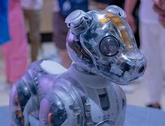 Image result for Aibo Newest