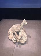 Image result for pompeii italy bodies museum