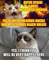 Image result for Cat That Stare into Blank Space Meme
