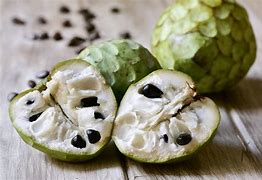 Image result for cherimoya