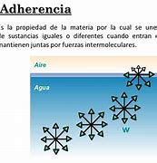 Image result for sdherencia
