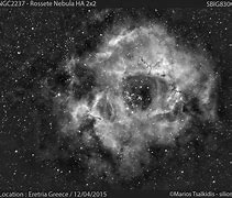 Image result for The Rosette Nebula