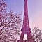 Image result for Paris Wallpaper Light-Pink
