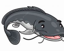 Image result for Catfish Graphics