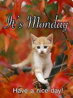 Image result for Cute Happy Monday Meme
