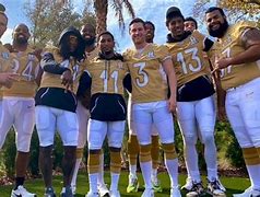 Image result for Players in Pro Bowl 2020
