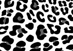 Image result for Black and White Printed Wallpaper