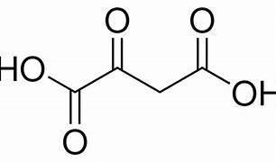 Image result for Oxaloacetate