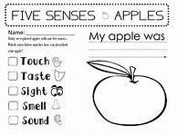 Image result for Senses Apple Workshhet for Kids