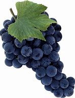 Image result for China Grapes