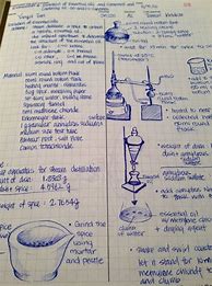 Image result for Biology Lab Notebook Example