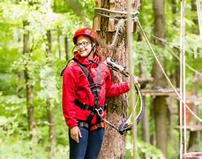 Image result for High Ropes
