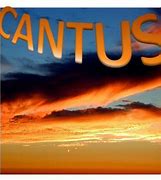 Image result for cantusar