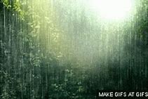 Image result for Cuanto Lluvia Meme