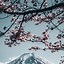 Image result for iPhone Wallpaper Japan Abstract