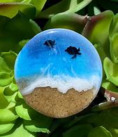 Image result for Turtle Pop Socket