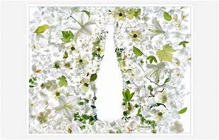Image result for Perrier Jouet Flowers