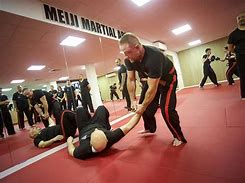 Image result for Martial Arts Teacher