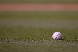 Image result for Baseball Bat and Ball On Grass