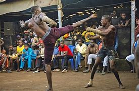 Image result for African Martial Arts Styles Logo