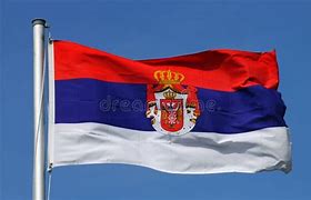 Image result for Bandera De Serbia
