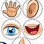 Image result for 5 Senses Print Out