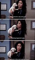 Image result for Brooklyn 99 Puppy Meme