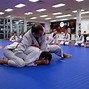 Image result for Who Is the Greatest Jiu Jitsu Fighter