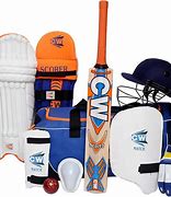 Image result for BBL Cricket Gear