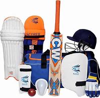 Image result for Cricket Gear