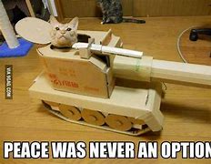 Image result for War Cat Meme