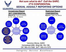 Image result for Sarc Air Force