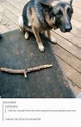 Image result for Throw the Stick You Monster Meme