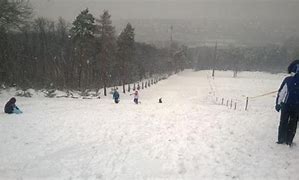 Image result for Ski Staza Kosutnjak