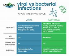 Image result for Difference Between Virus and Bacteria