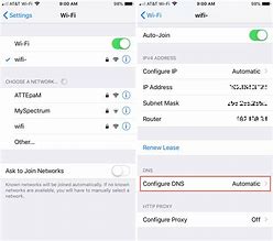 Image result for Apple DNS Settings