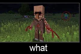 Image result for Real Illager Minecraft Wait What Meme