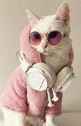 Image result for Funny Amazing Cat