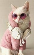 Image result for Galaxy Cat Unicorn