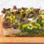 Image result for aspic