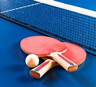 Image result for Ping Pong Table Games