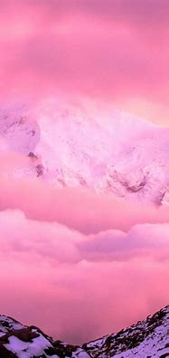 Image result for Pink Wallpaper iPhone1,1