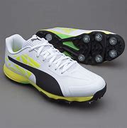 Image result for Puma Cricket Shoes
